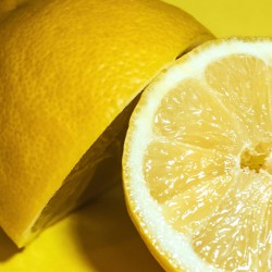 Citron écorce Rubans BIO