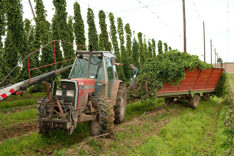 Harvesting