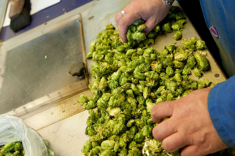 Sorting hops