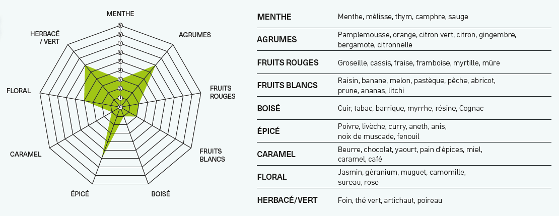 Voir le profil aromatique