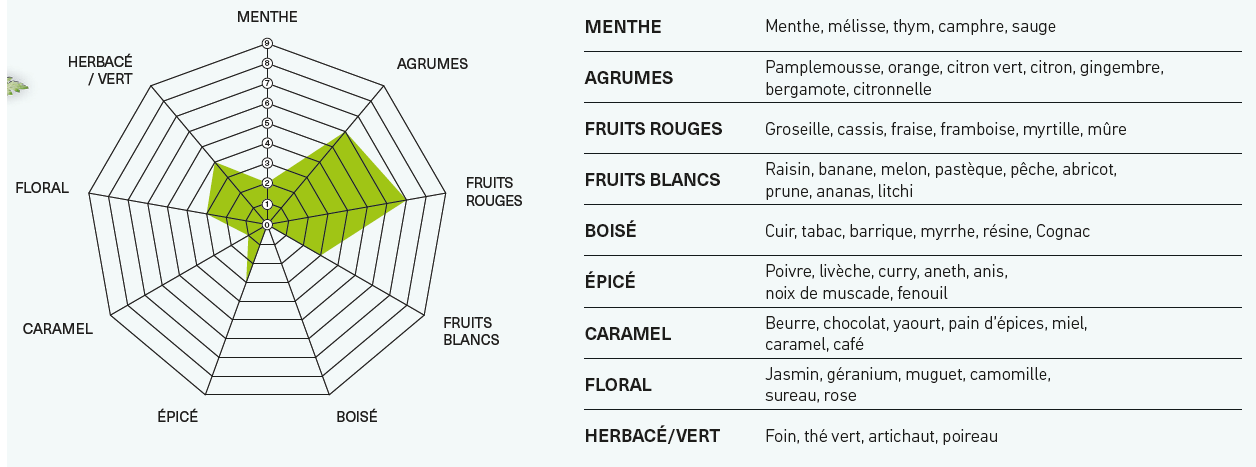 Voir le profil aromatique